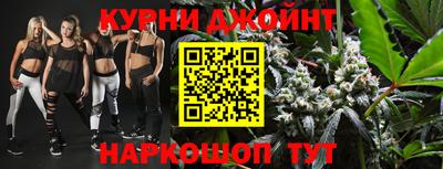 альфа пвп Новодвинск