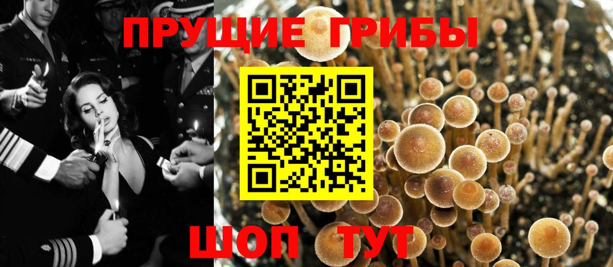 Галлюциногенные грибы Magic Shrooms  Вход с VPN  Узловая 